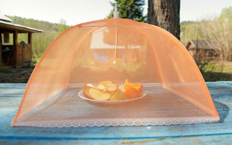 tipps gegenfruchtfliegen