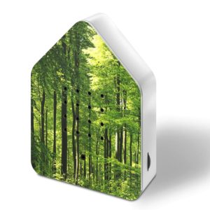 zwitscherbox_sonderedition_wald