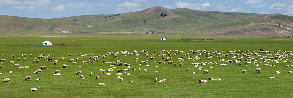 Kategorie Wolldecken & Plaids_mongolische Steppe