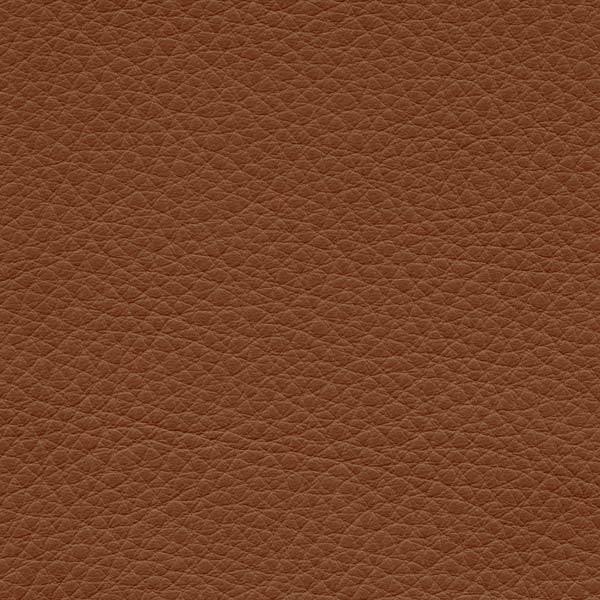 GIRSBERGER-Leder-Montana_2488_Cognac