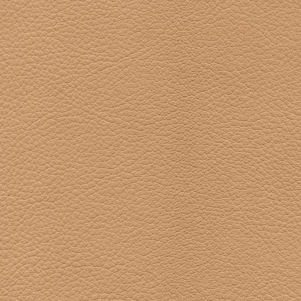 GIRSBERGER_Leder-Scandinavian_2440_Cappuccino