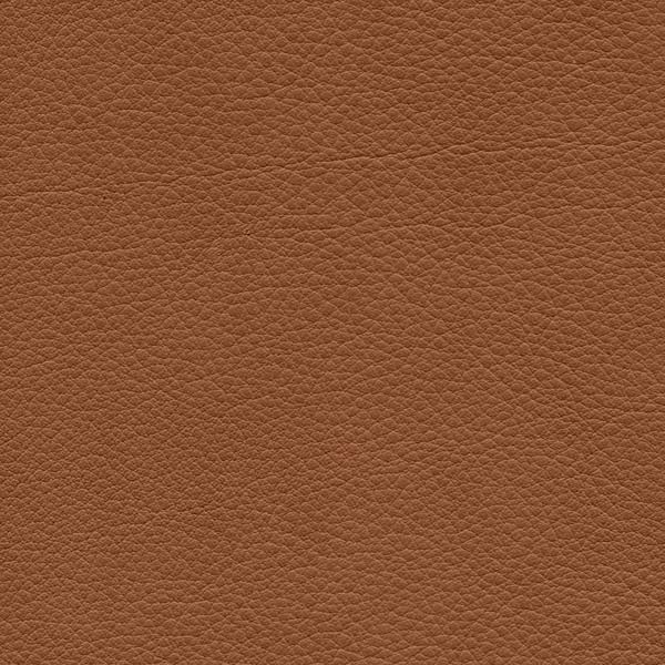 GIRSBERGER_Leder-Scandinavian_2488_Cognac