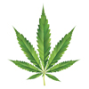 Hanf_Symbol