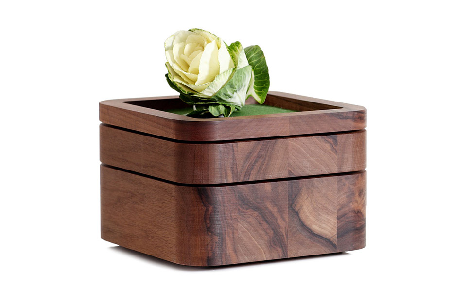 SOLID-WOOD_Stapelschale_Nussbaum_mir-Rose SOLID-WOOD_Stapelschale_Nussbaum_mir-Rose
