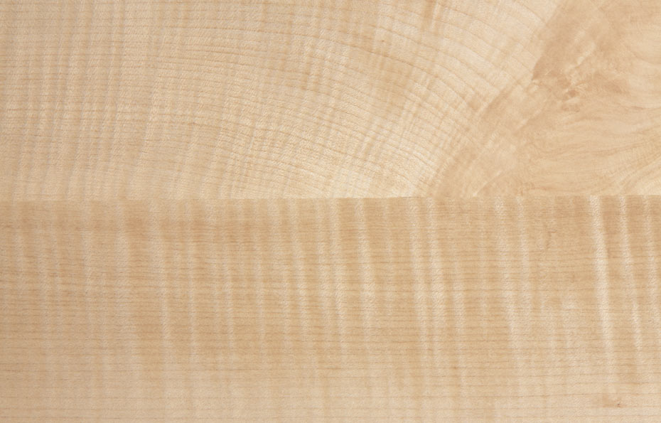 Holz_Riegelahorn