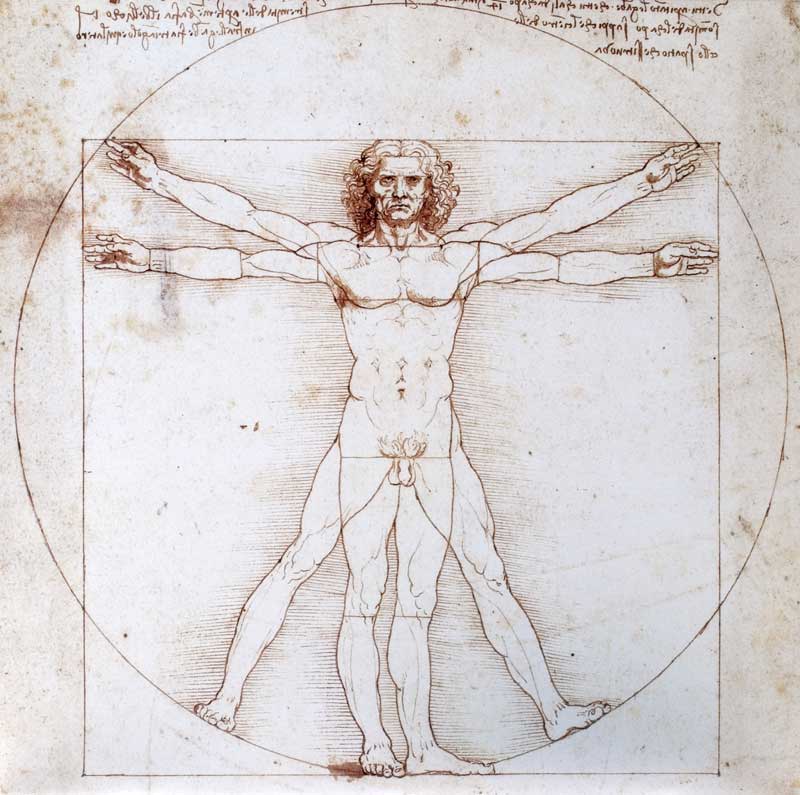 Leonardo Da Vincis berühmtem Bild «der vitruvianische Mensch»