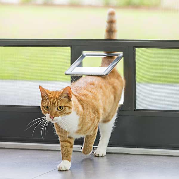 NEHER-Insektenschutz_Besonderheit_Katzenklappe