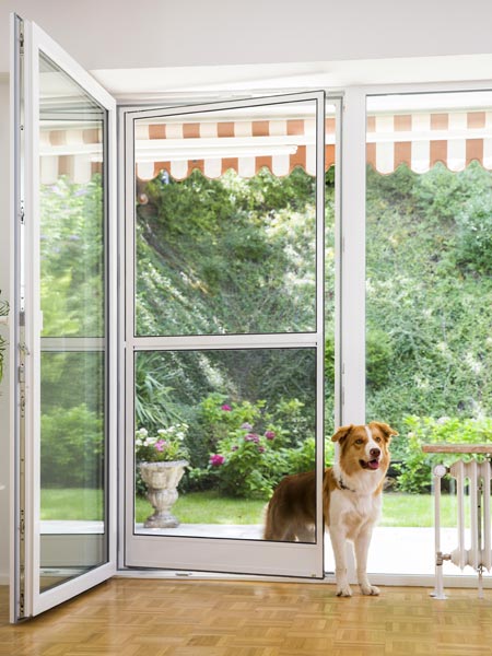 NEHER-Insektenschutz_Pendeltüre_Hund