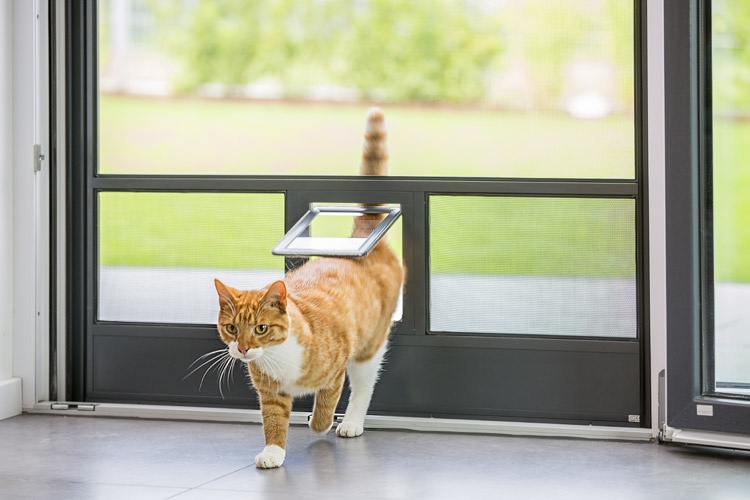 NEHER-Insektenschutz_Sonderlösungen_Katzenklappe