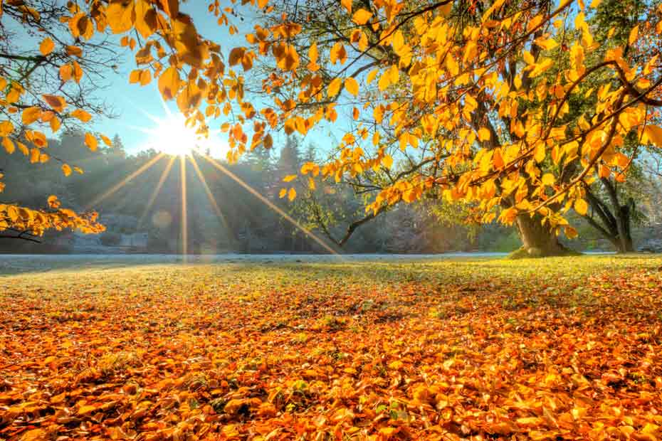 Sonnenlicht – ein Lebenselixier, versorgt uns mit Vitamin D