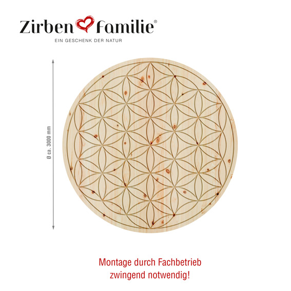 ZirbenFamilie_1330_ZirbenBlume_Abmessungen