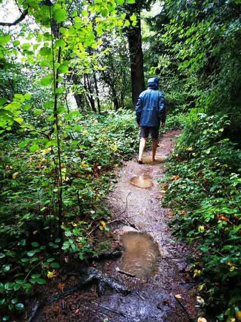 Barfuss-im-Wald_2