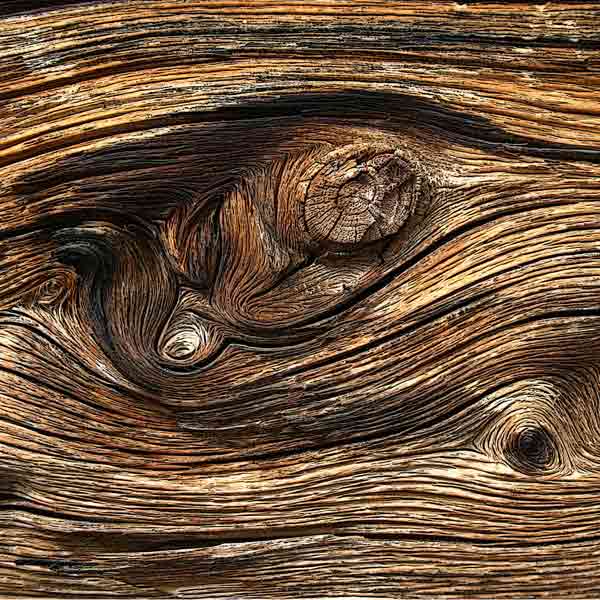 Feng-Shui_HEIMisch-#87_die-5-Elemente_Holz