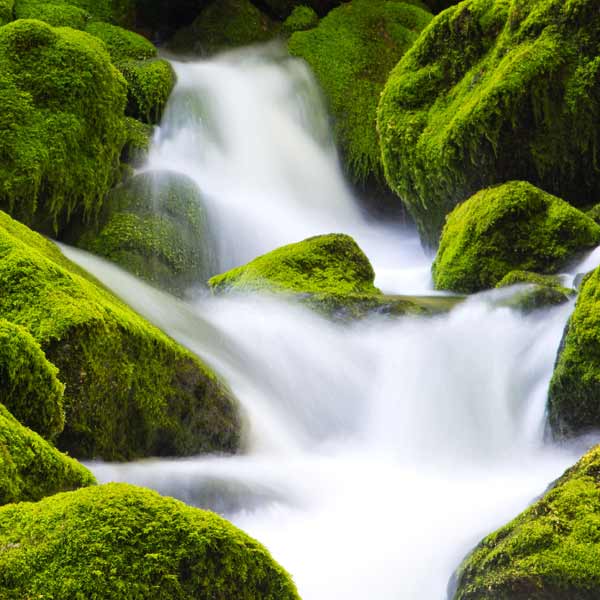 Feng Shui_HEIMisch #87_die-5-Elemente_Wasser