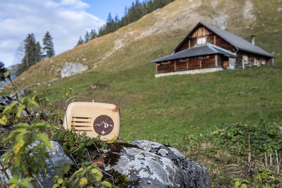 Berg-&-Kraft_Klangbox Senn-Braun_2