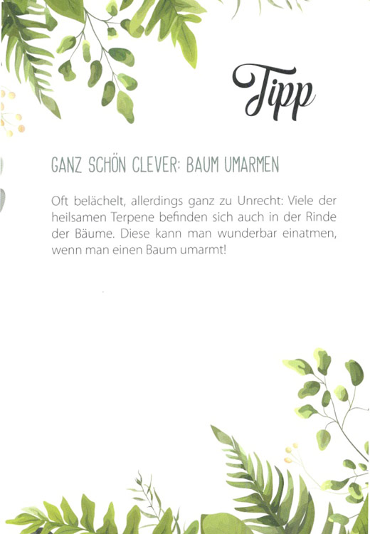 AROMALIFE_Buch_Waldbaden_3