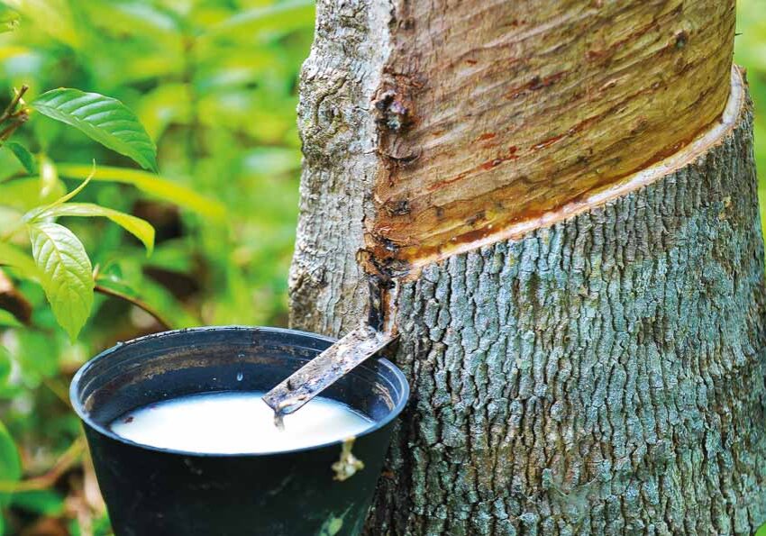 öko-trend-Home_Naturmaterialien